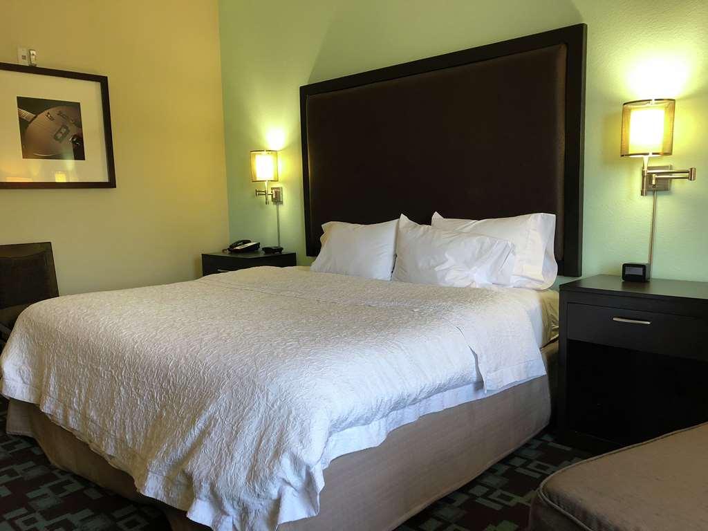 Hampton Inn & Suites Nashville At Opryland Habitación foto
